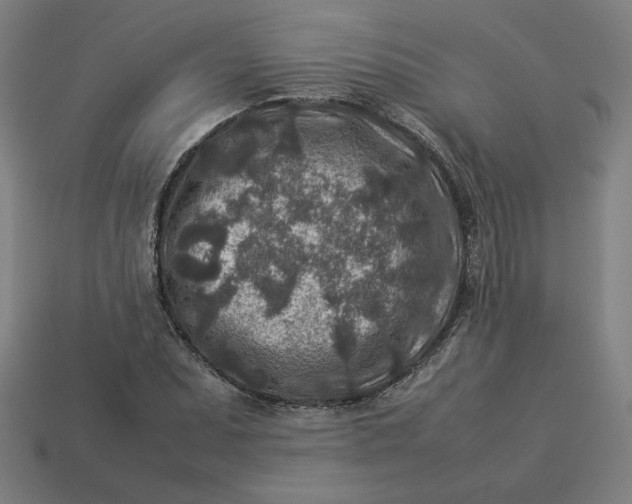 X0000113371071200910061055