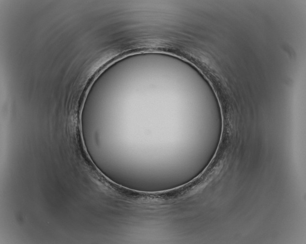 X0000113371073200910061055