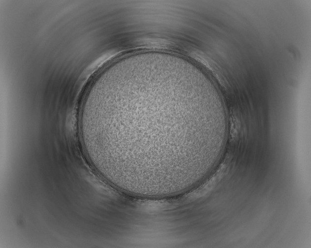 X0000113371074200910061055