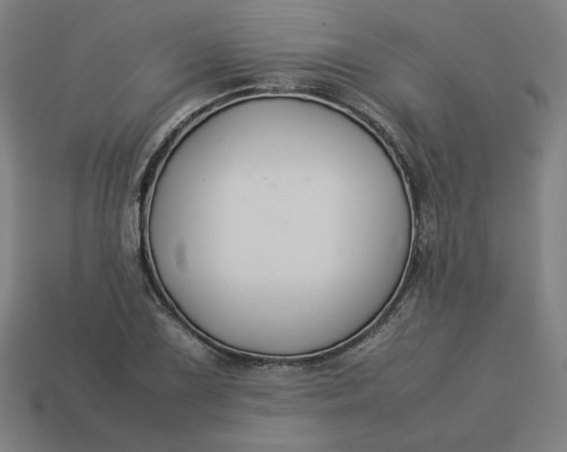 X0000113371075200910061055