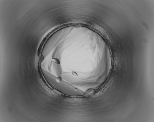 X0000113371076200910061055