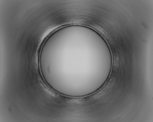 X0000113371078200910061055