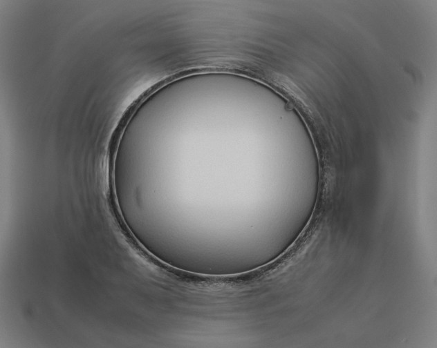 X0000113371079200910061055