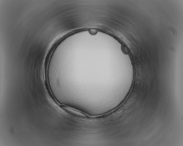 X0000113371080200910061055