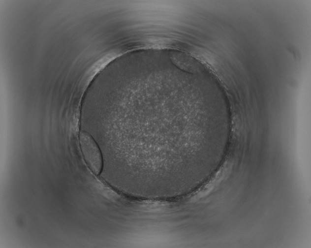 X0000113371081200910061055