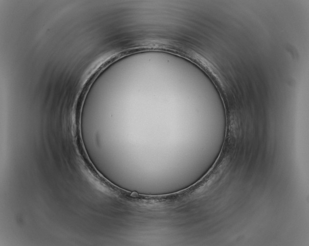 X0000113371082200910061055