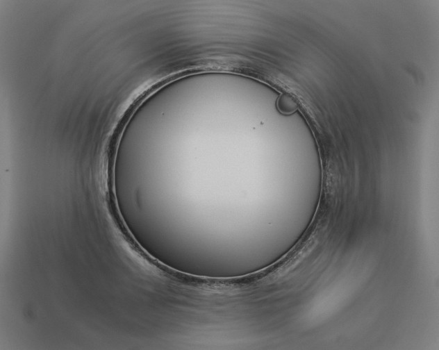 X0000113371083200910061055