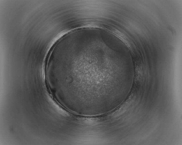 X0000113371084200910061055