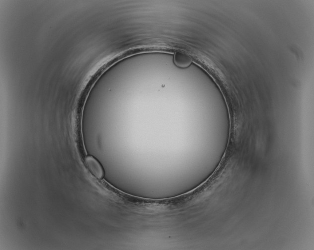 X0000113371085200910061055