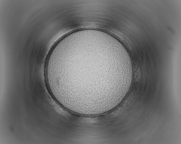 X0000113371086200910061055