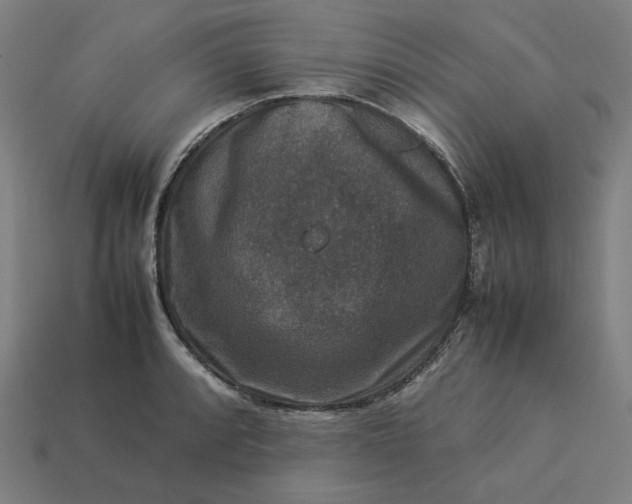 X0000113371088200910061055