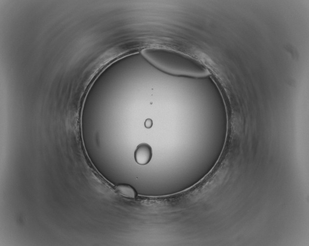 X0000113371089200910061055