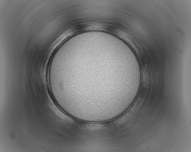 X0000113371090200910061055