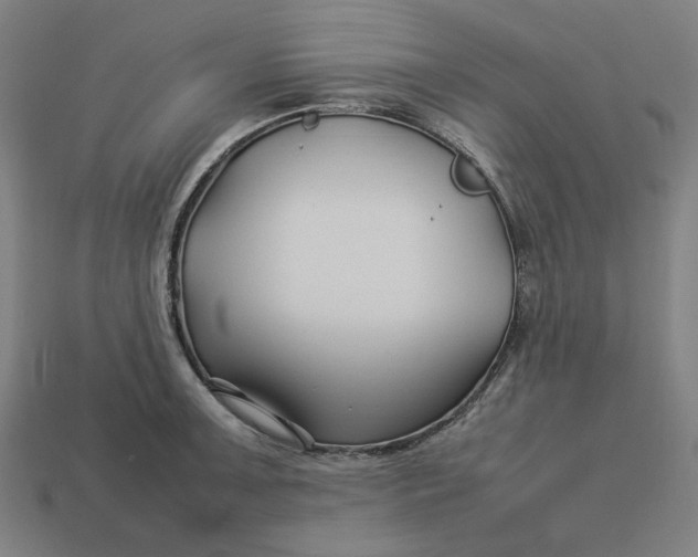 X0000113371091200910061055