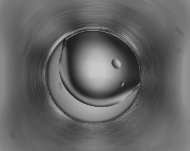 X0000113371092200910061055