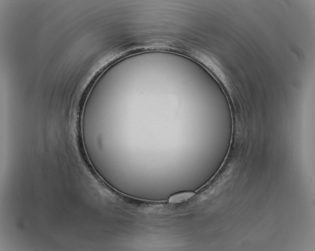 X0000113371093200910061055