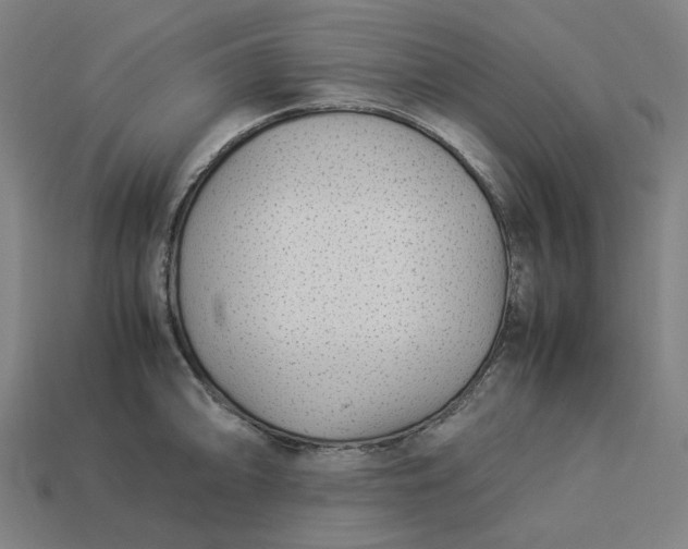 X0000113371094200910061055