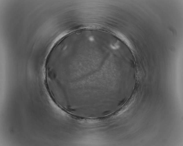 X0000113371095200910061055