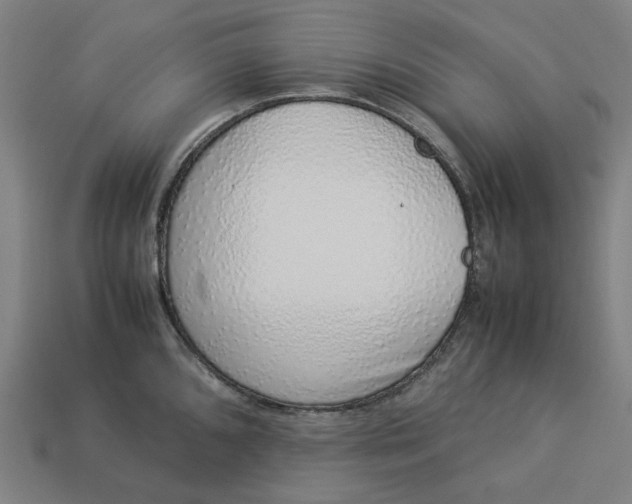 X0000113371096200910061055