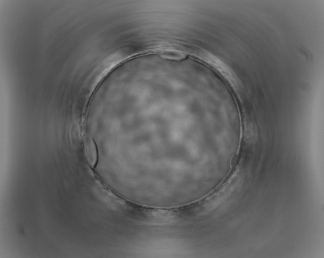 X0000113371097200910061055