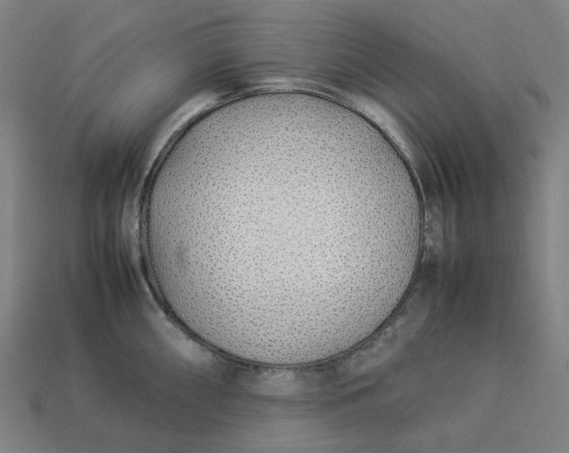 X0000113371098200910061055