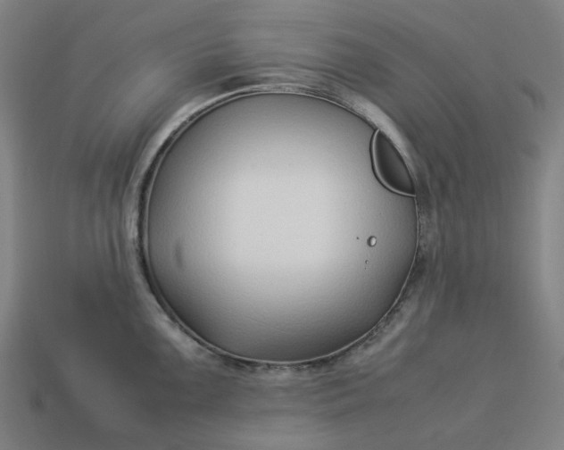 X0000113371099200910061055