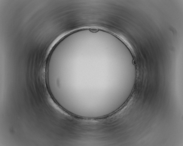 X0000113371100200910061055