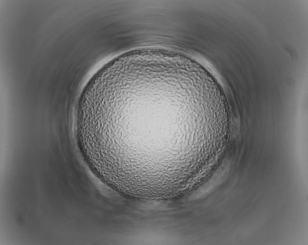 X0000113371101200910061055