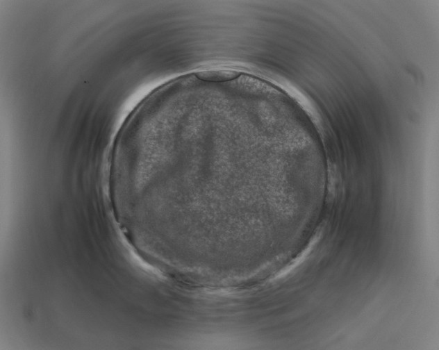 X0000113371102200910061055