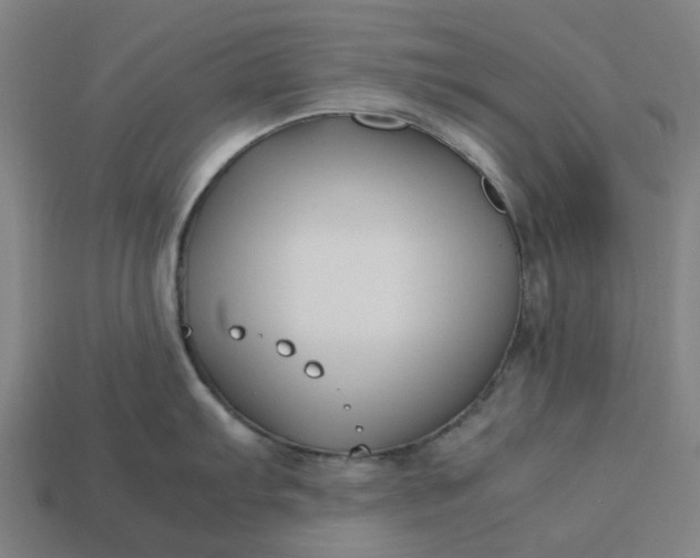 X0000113371103200910061055