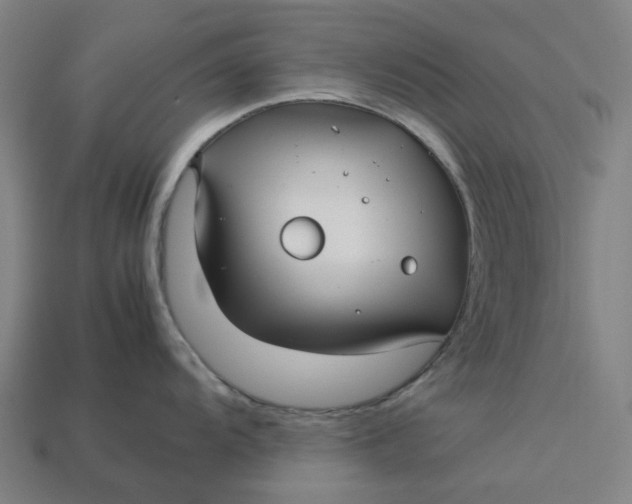 X0000113371104200910061055