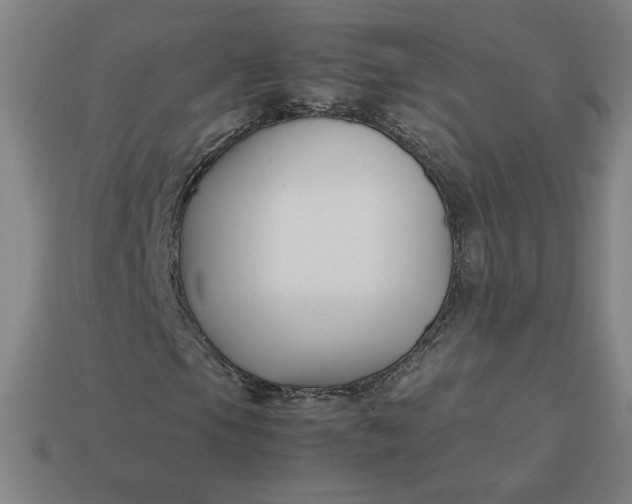 X0000113371105200910061054