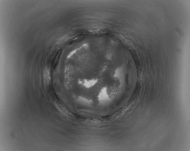 X0000113371106200910061054