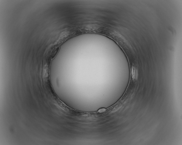 X0000113371107200910061054