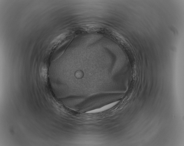 X0000113371108200910061054