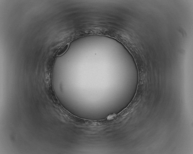 X0000113371109200910061054