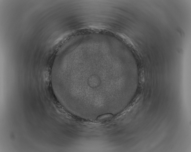 X0000113371110200910061054