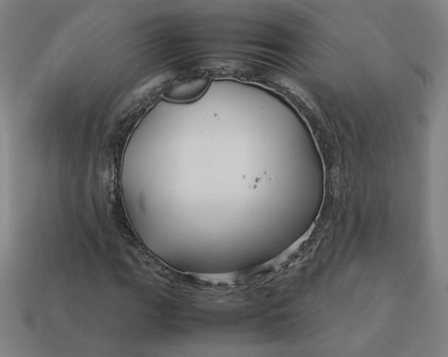 X0000113371111200910061054