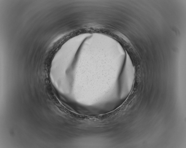 X0000113371112200910061054