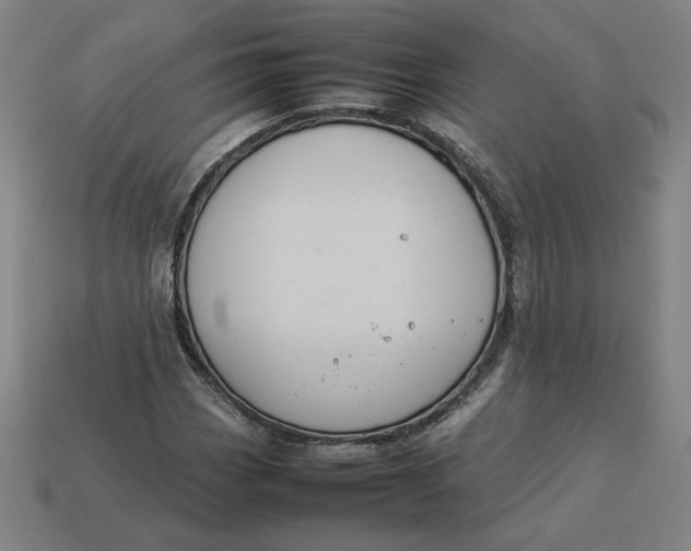 X0000113371113200910061054