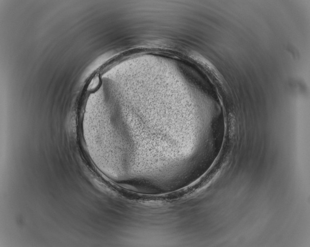 X0000113371114200910061054