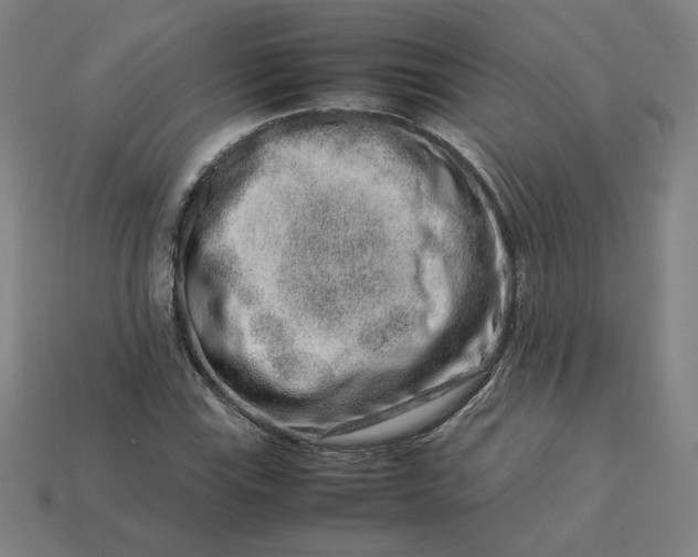 X0000113371115200910061054