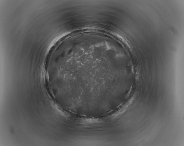 X0000113371117200910061055