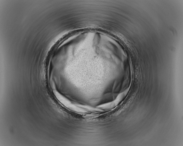 X0000113371118200910061055