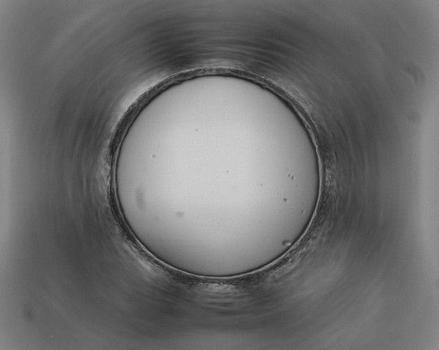 X0000113371119200910061055