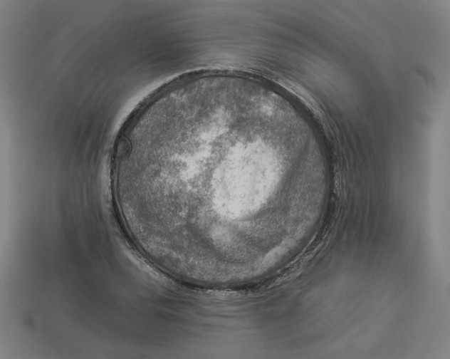 X0000113371120200910061055