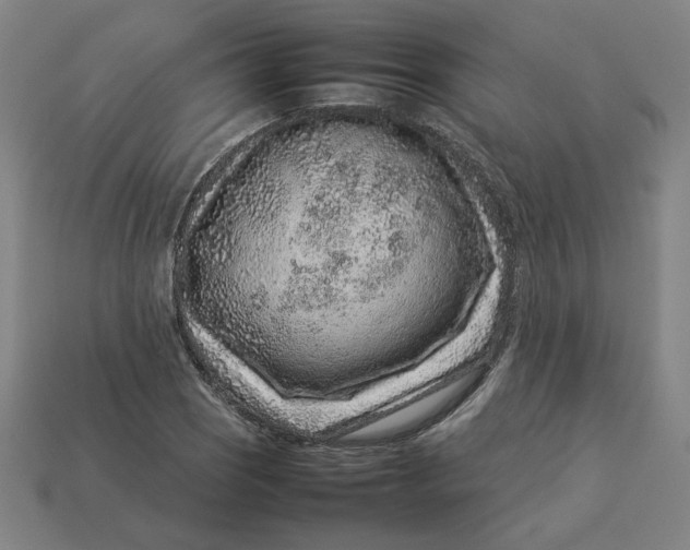 X0000113371121200910061055