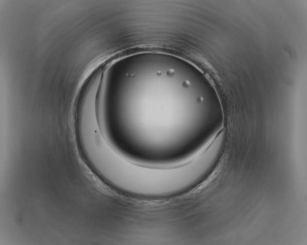 X0000113371122200910061055