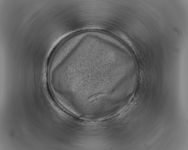 X0000113371124200910061055