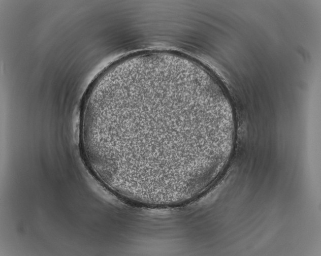 X0000113371126200910061055